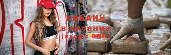 гашик Зерноград