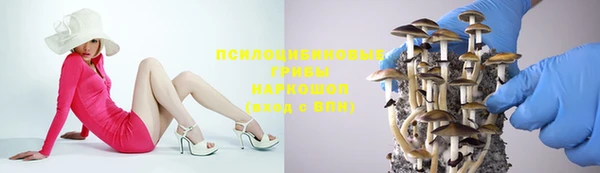 гашик Зерноград