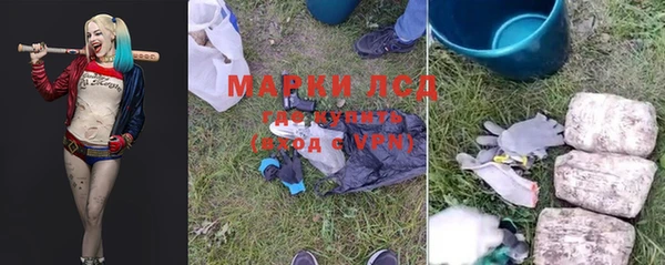 гашик Зерноград