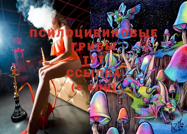 гашик Зерноград