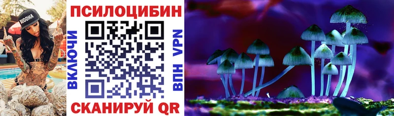 Купить  Лихославль  Галлюциногенные грибы прущие грибы 